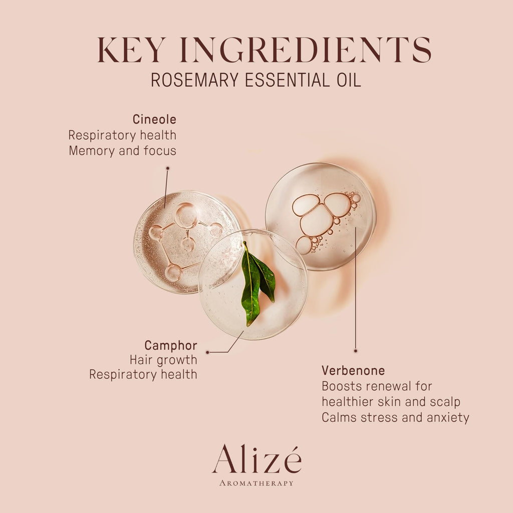 Alizé Aromatherapy Rosemary Essential Oil – USDA Organic, 10ml