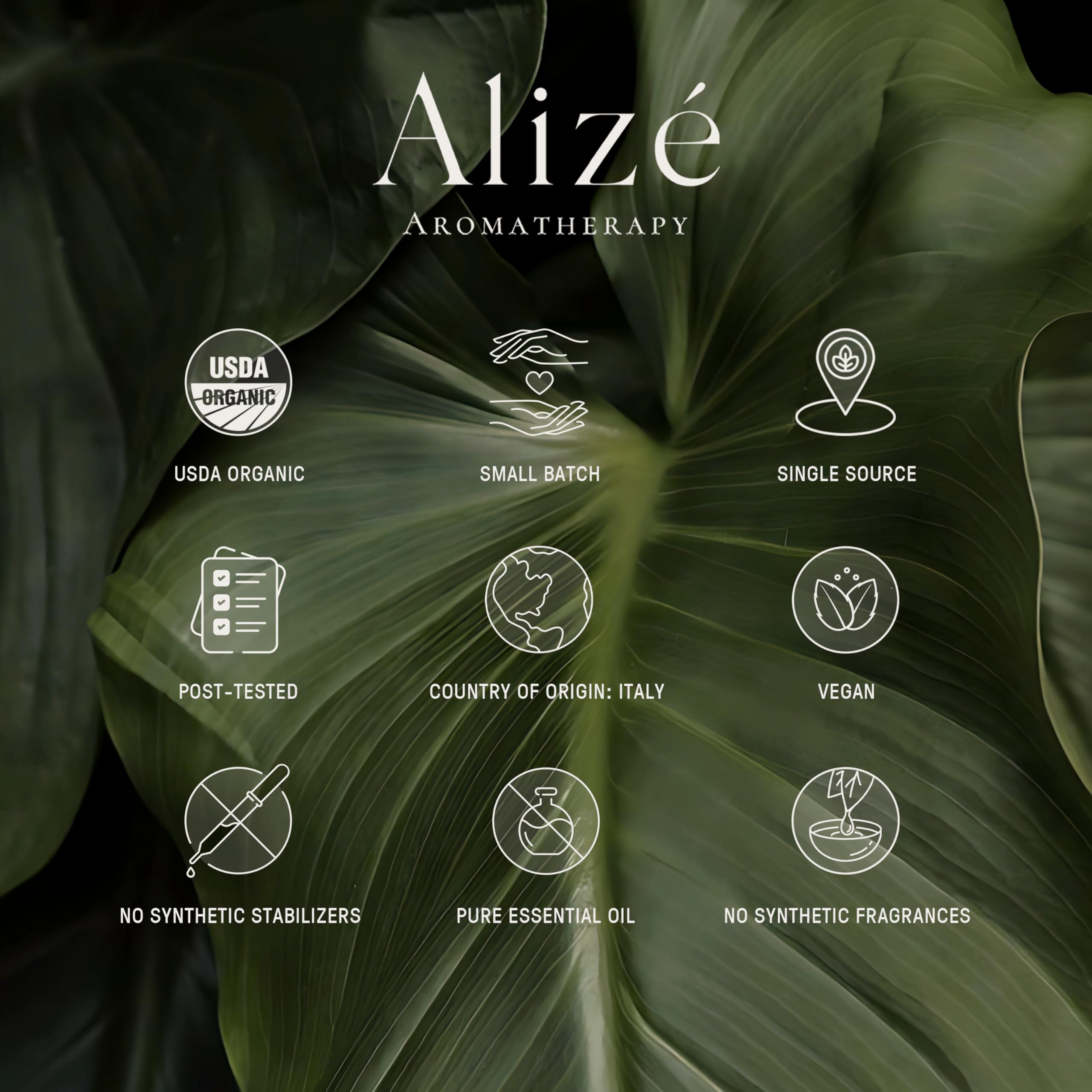 Alizé Bergamot Essential Oil – USDA Organic, 100% Pure & Natural, 10ml