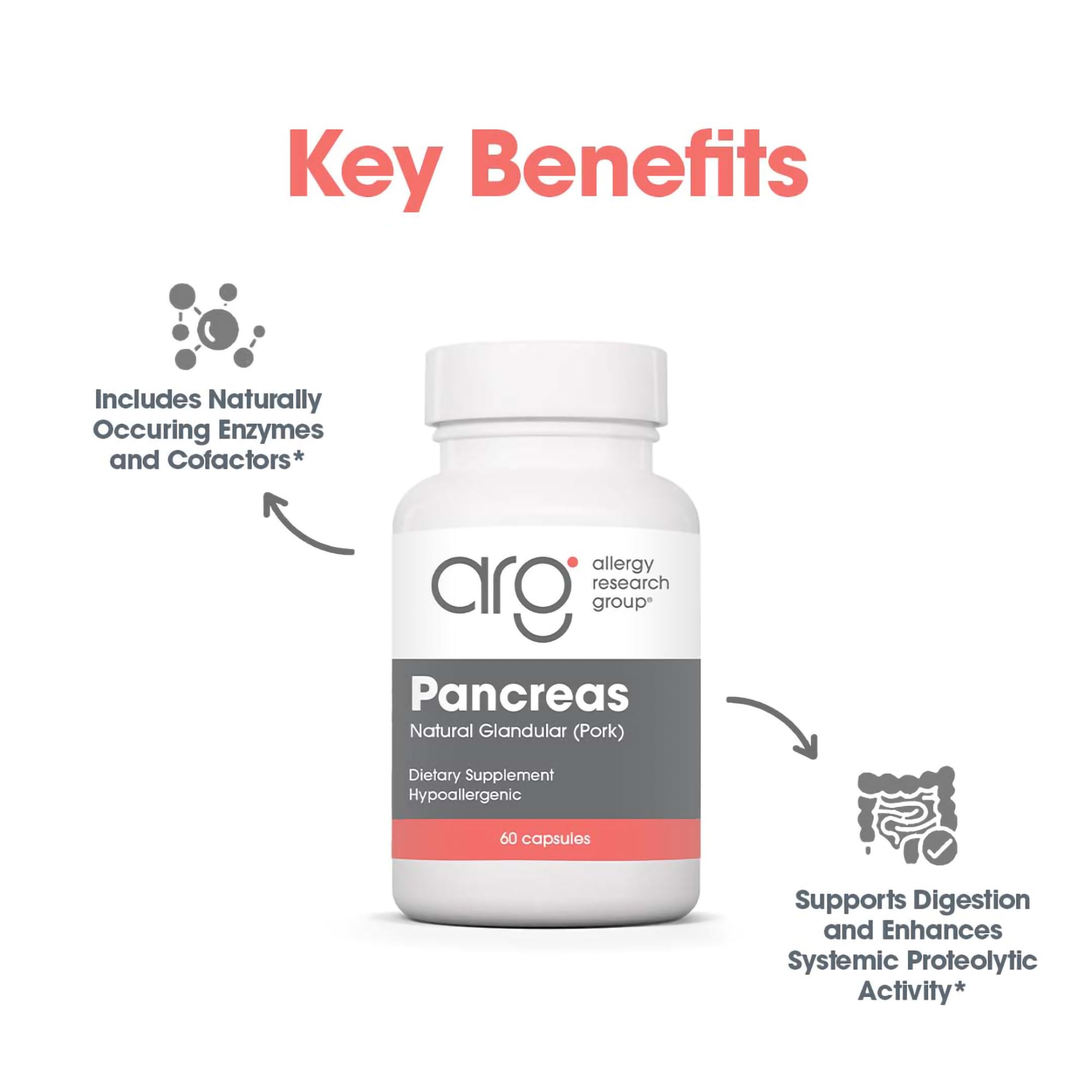 Allergy Research Group Pancreas Pork Supplement – Pancreas Glandular Enzymes, 425mg, 60 Count