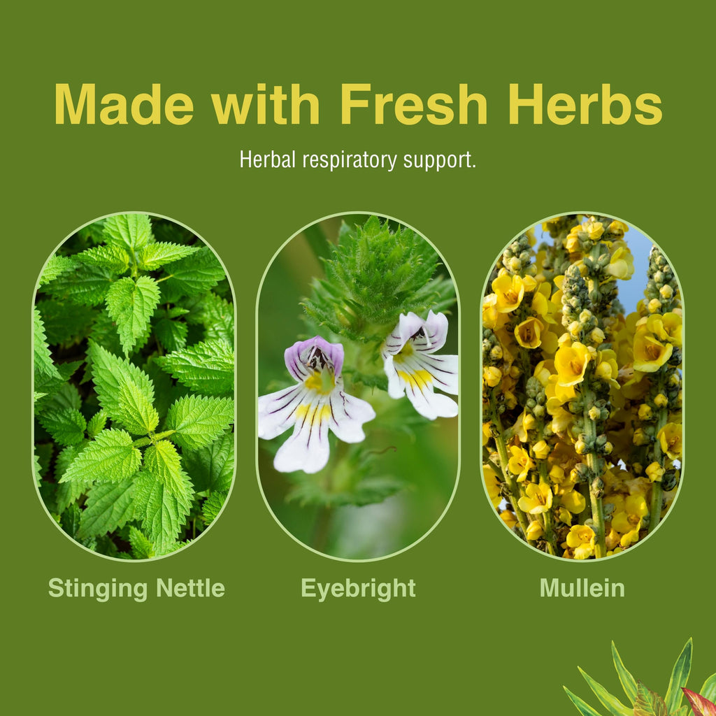 Herbs Etc. Allertonic – Healthy Breathing Support, 120 Softgels