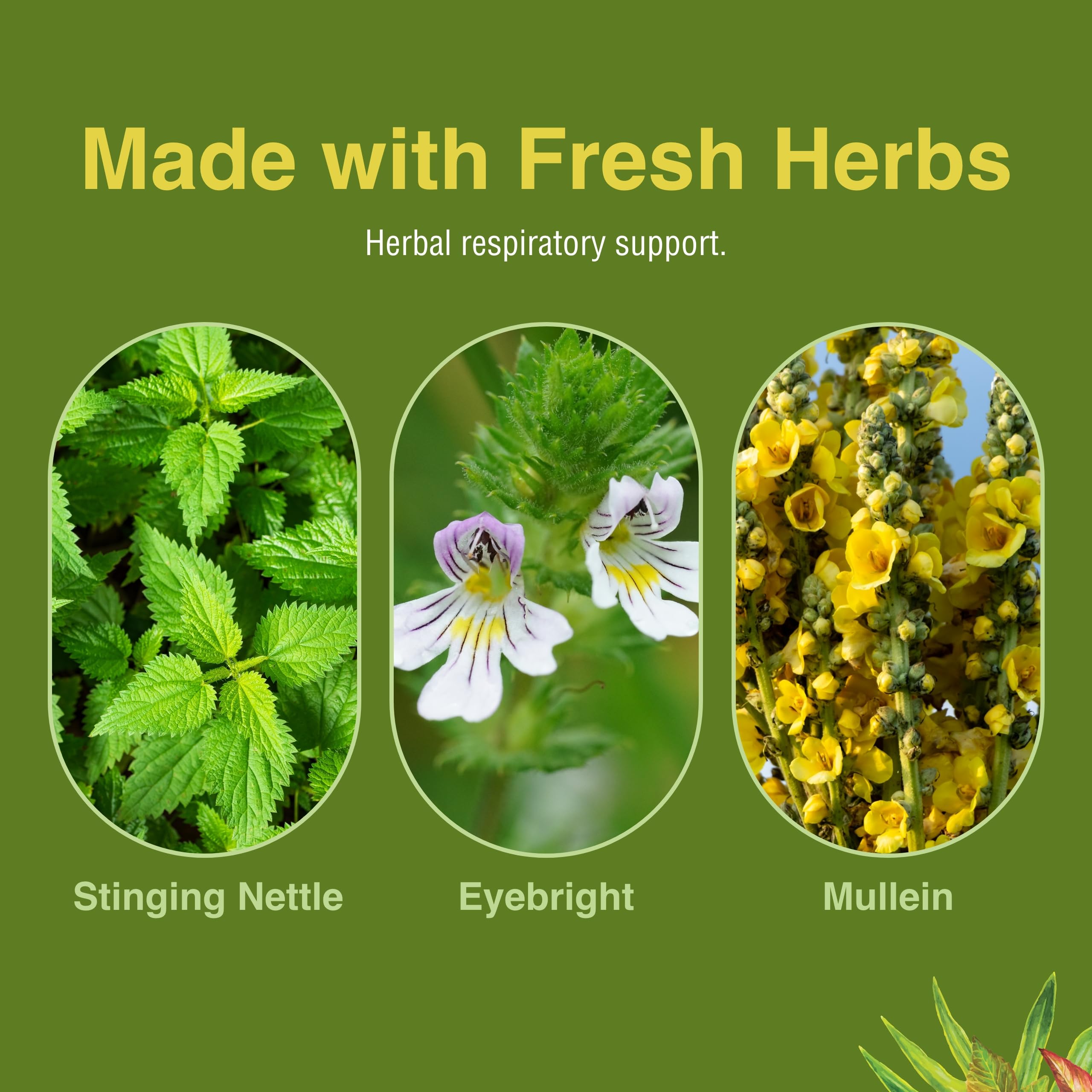 Herbs Etc. Allertonic – Healthy Breathing Support, 120 Softgels