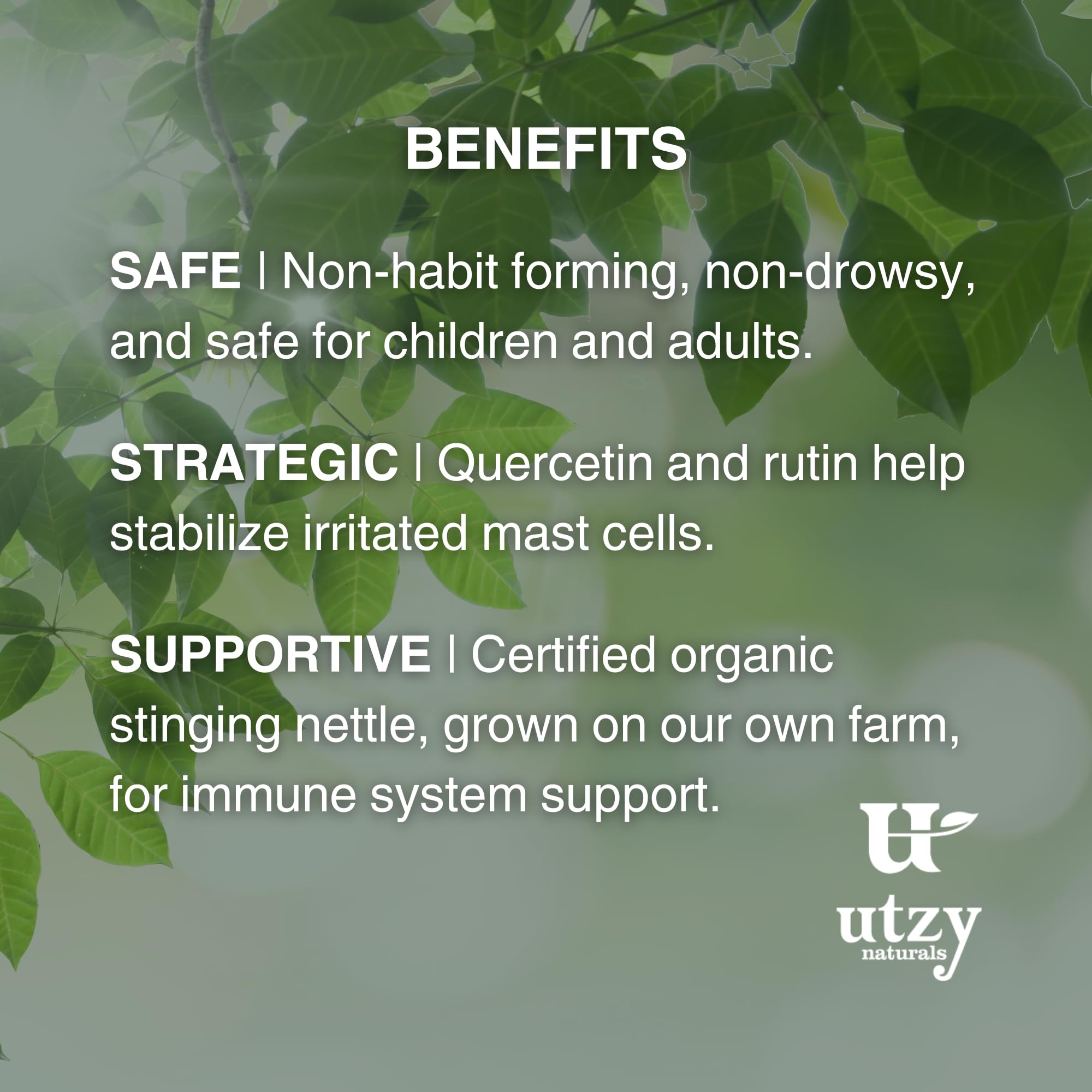 Utzy Naturals Allurtica — Sinus & Respiratory Support with Quercetin & Stinging Nettle (40 Capsules)