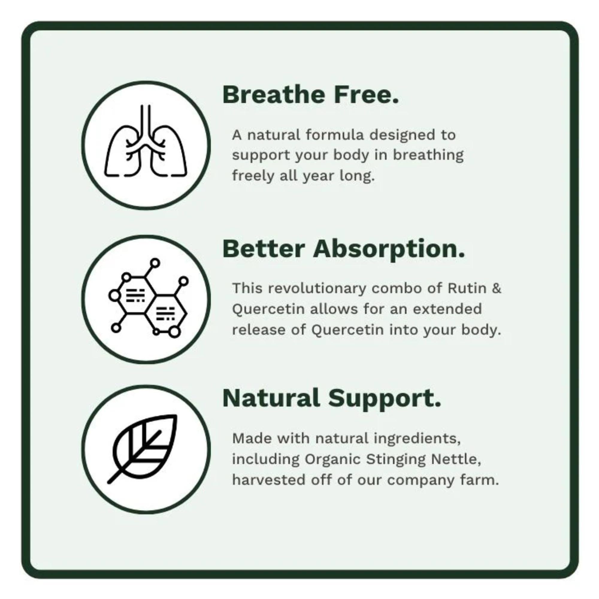 Utzy Naturals Allurtica — Sinus & Respiratory Support with Quercetin & Stinging Nettle (40 Capsules)