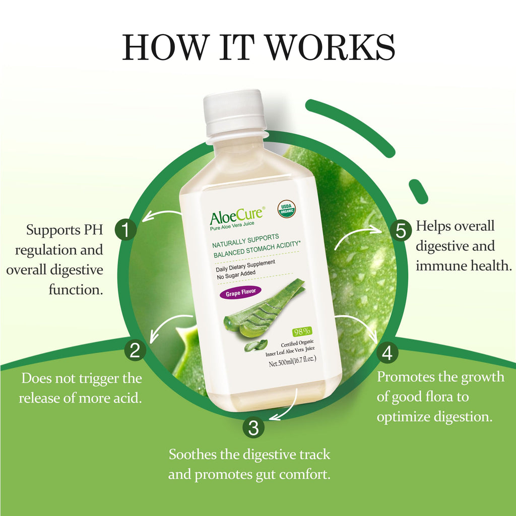 AloeCure USDA Organic Aloe Vera Juice – Grape Flavor, 16.7oz x 2 Bottles | Digestive & Immune Support