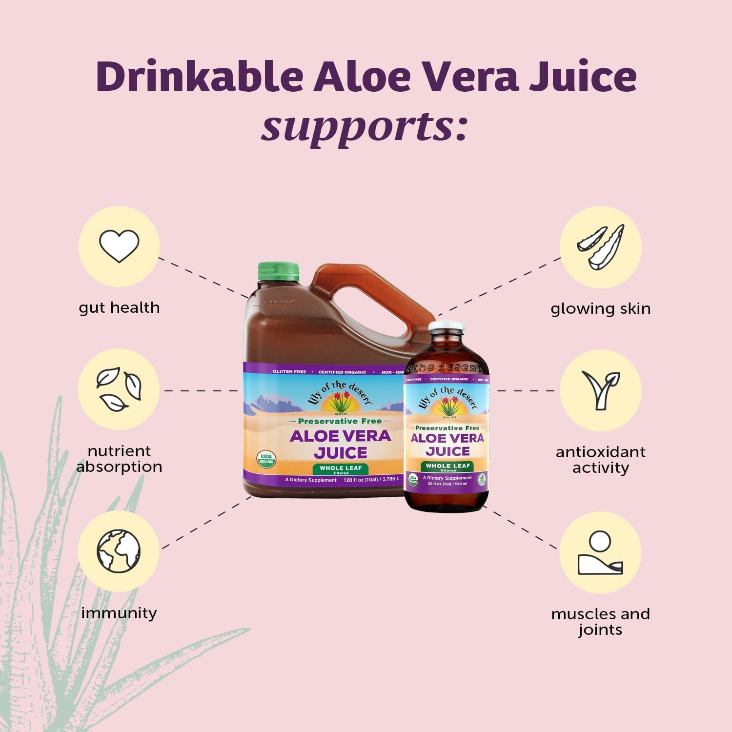 Lily of the Desert Aloe Vera Juice Whole Leaf 2-Pack 32 fl oz