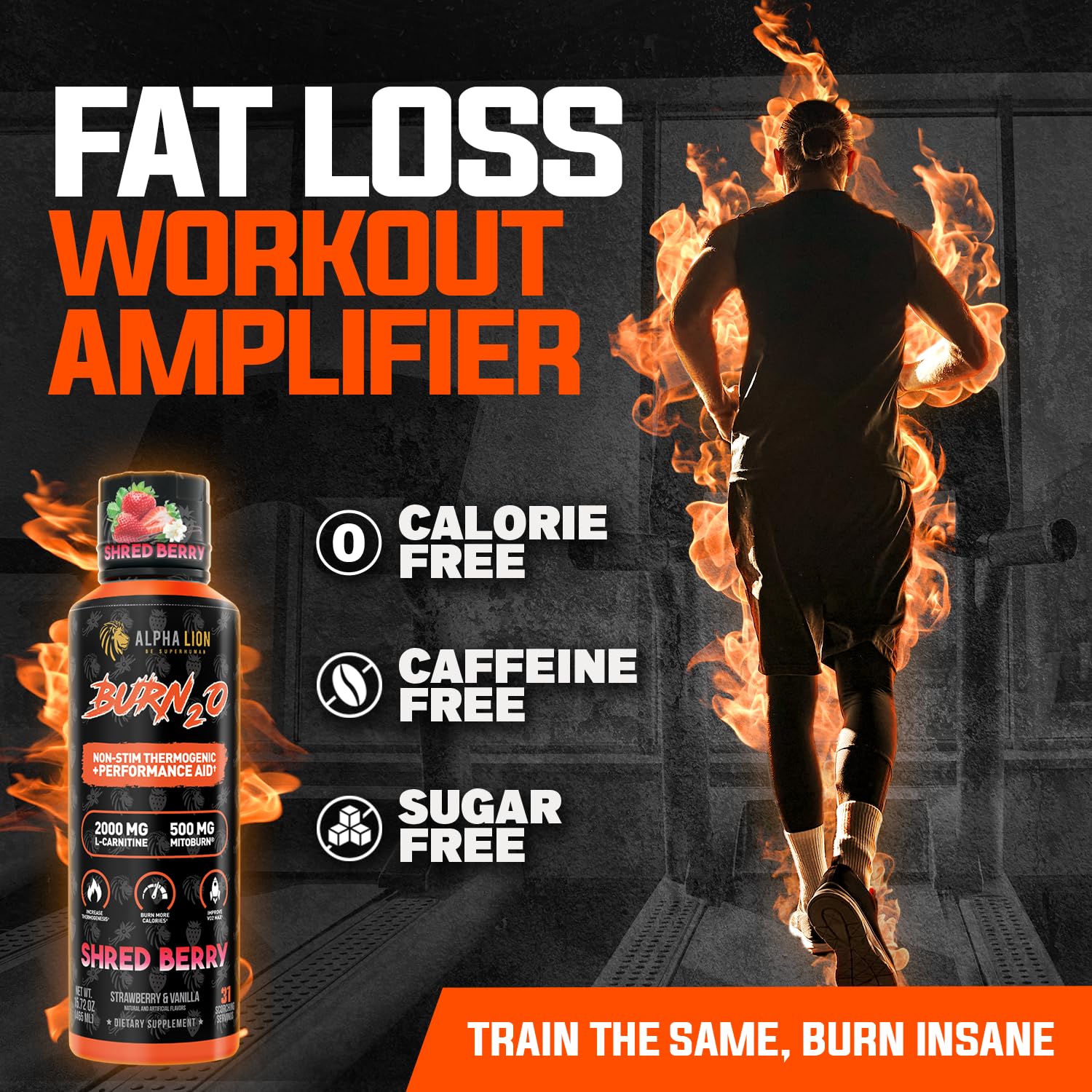 ALPHA LION Burn2O Liquid L-Carnitine 2000mg – Premium Fat Burner & Pre-Workout for Men & Women | ShredBerry