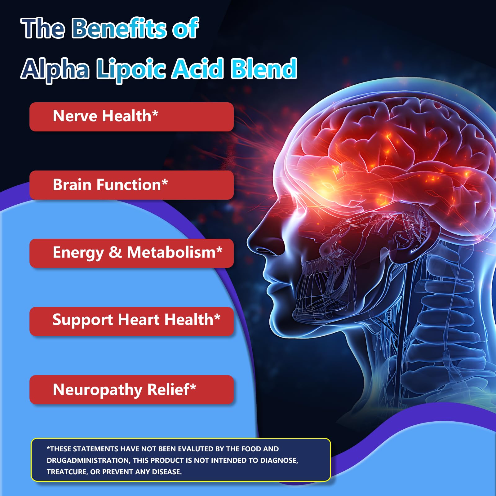 Alpha Lipoic Acid 1000mg Liquid Drops – 11-in-1 ALA with Acetyl-L-Carnitine & Benfotiamine