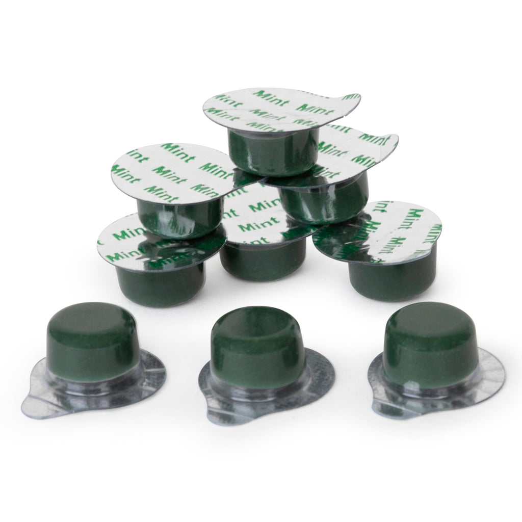 Alpine BLANC Tooth Polish Non Splatter Formula - Mint Flavored, Coarse Grit (Pack of 50)