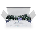 Alpine Dental Blanc Tooth Polish Non Splatter Formula, Coarse Grit - Box of 200 Mint