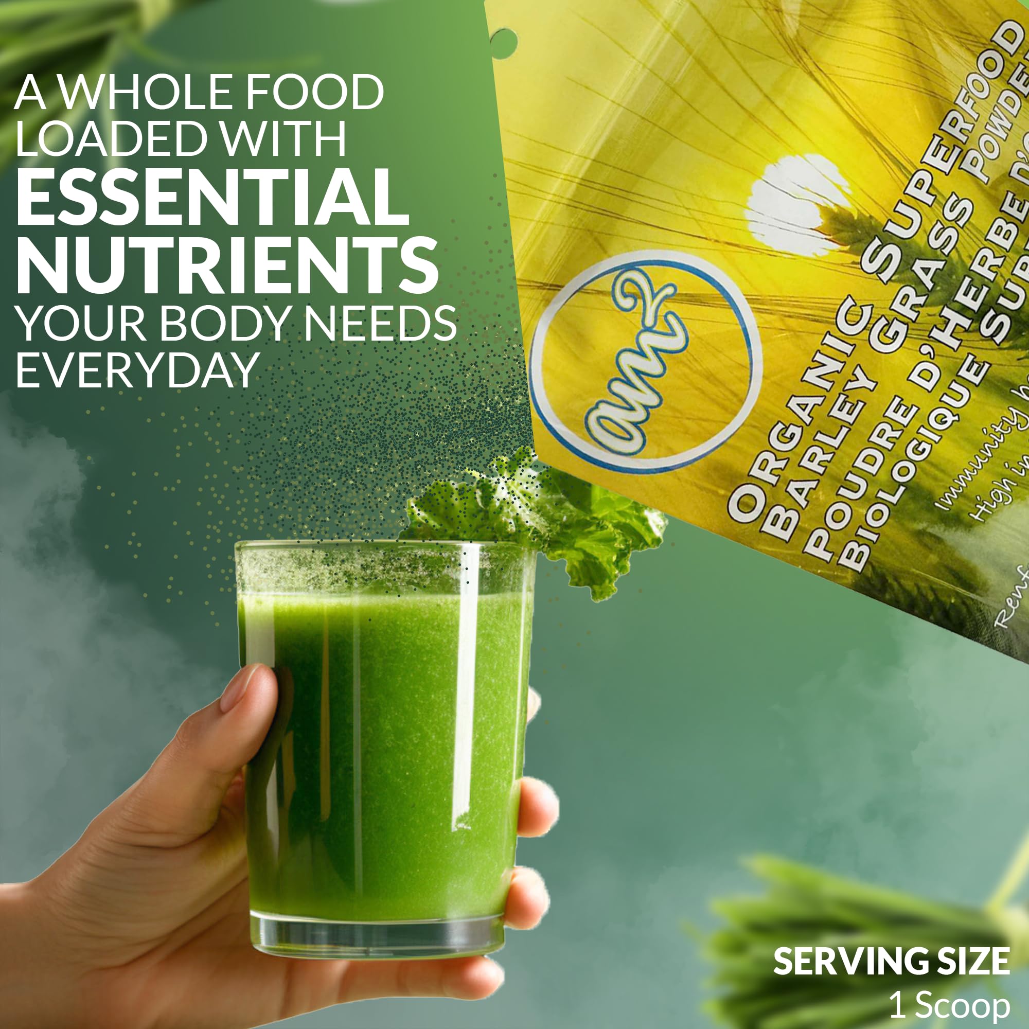 am2 Organic Barley Grass Powder – 125g (62 Servings) | Antioxidants, Immunity & Digestive Health
