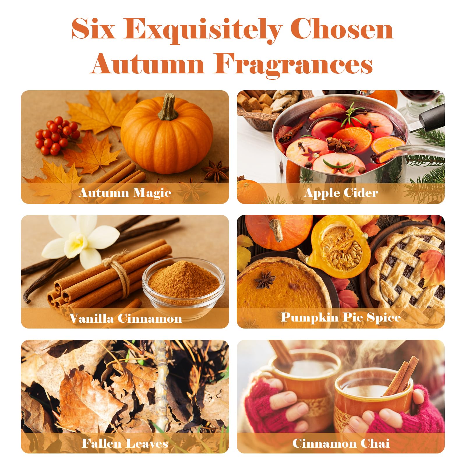 AmaKane Fall Fragrance Oil Set - 6x10ml for Diffusers, Candles & Soaps