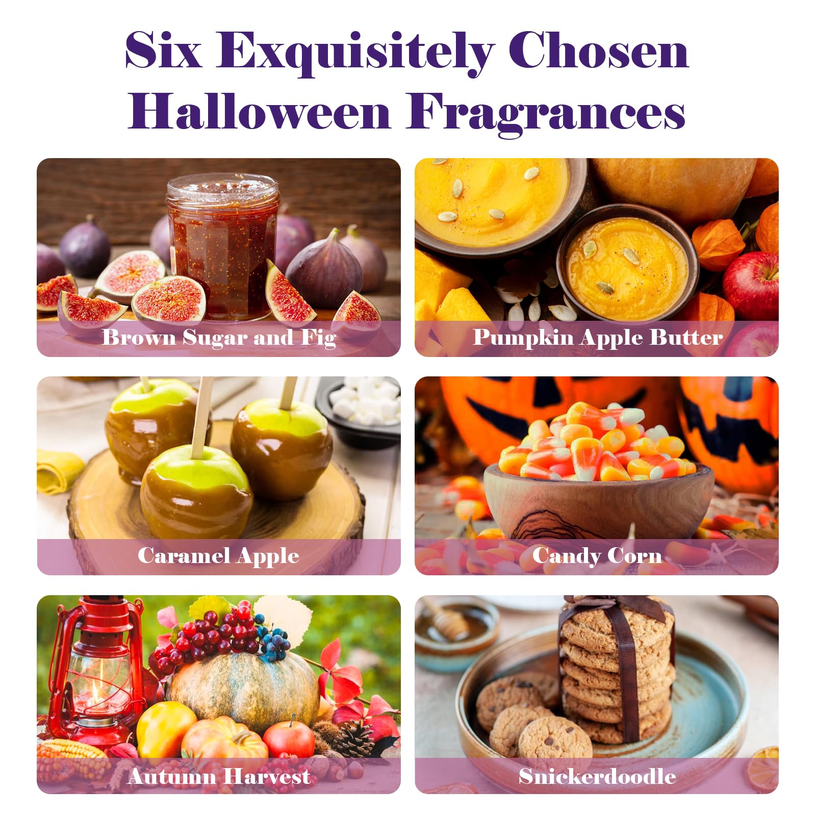 AmaKane Halloween Fragrance Oil Set – 6x10ml Fall Diffuser & Candle Scents