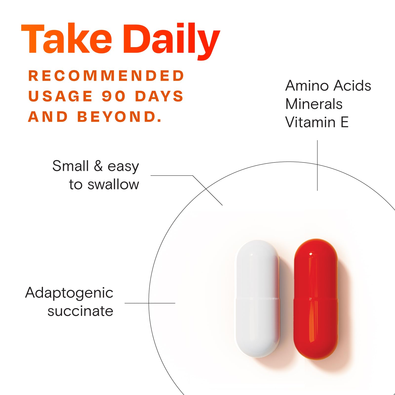 Amberen Menopause Supplement for Women - 60 Capsules | Supports Hormone Balance & 12 Symptom Relief