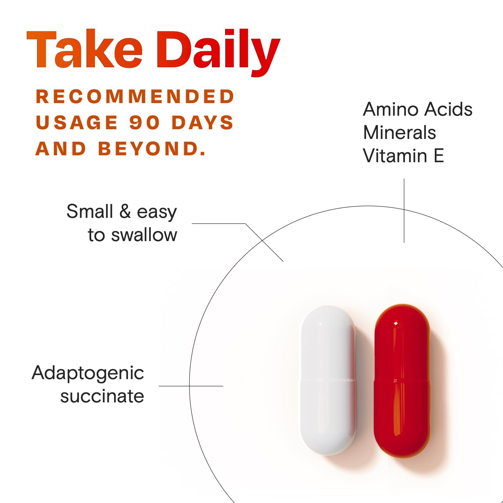 Amberen Menopause Supplement for Women - 60 Capsules | Supports Hormone Balance & 12 Symptom Relief