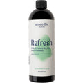 Ameo Life 10ppm Mint Structured Silver Mouthwash – Alcohol-Free Colloidal Rinse (16 oz)