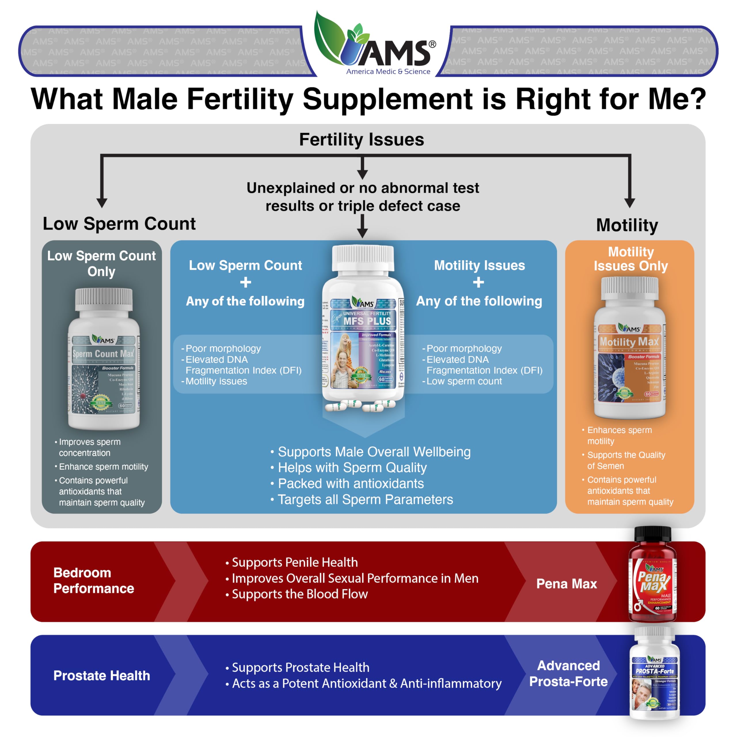 America Medic & Science MFS Plus Fertility Supplements for Men (120 Capsules) – Supports Sperm Motility & Count, Zinc & CoQ10