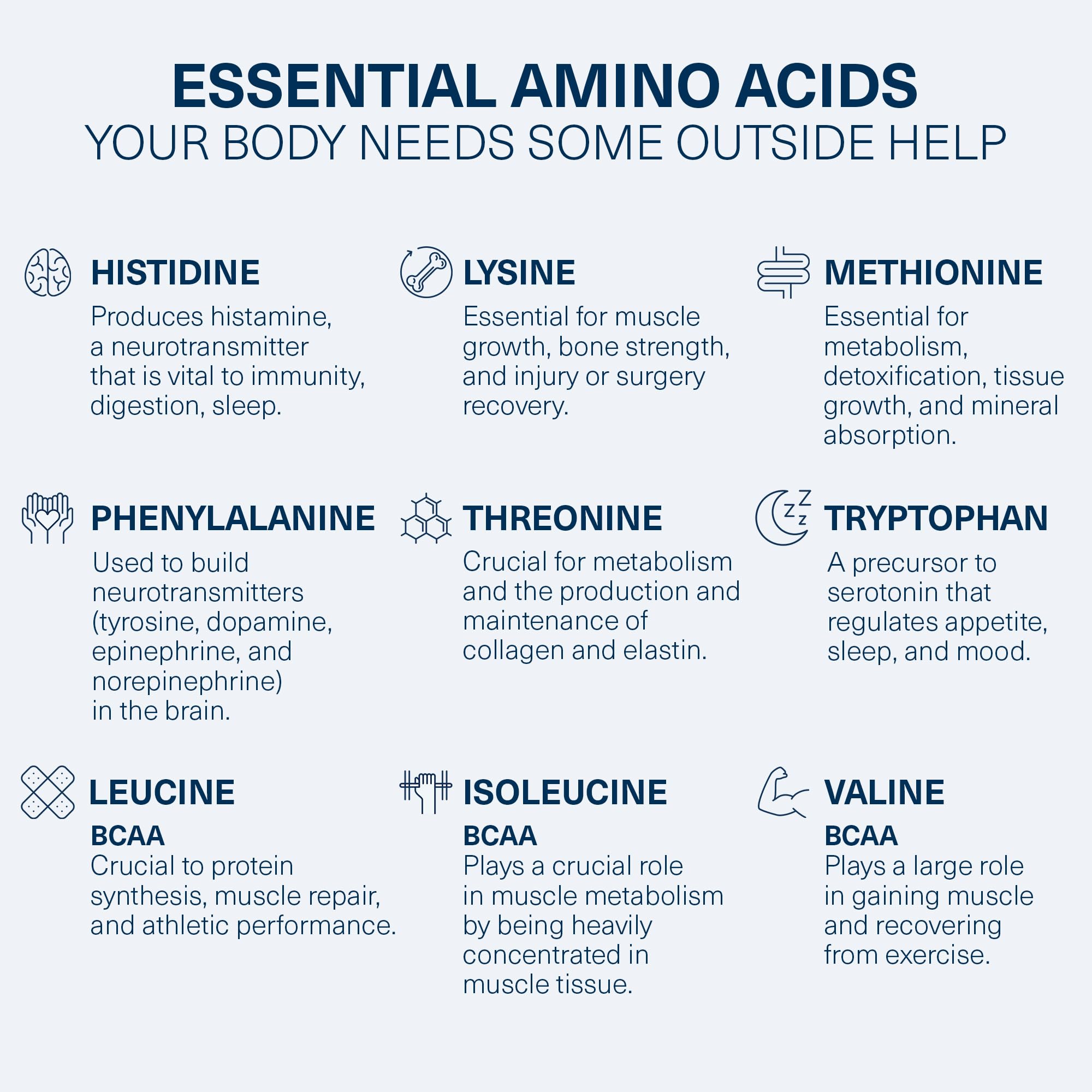 The Amino CO. Purity – Liver Support Supplement with Essential Amino Acids for Liver Detox Cleanse – Boost Liver Health for Optimal Liver Support – Peach Mango, 30 Servings