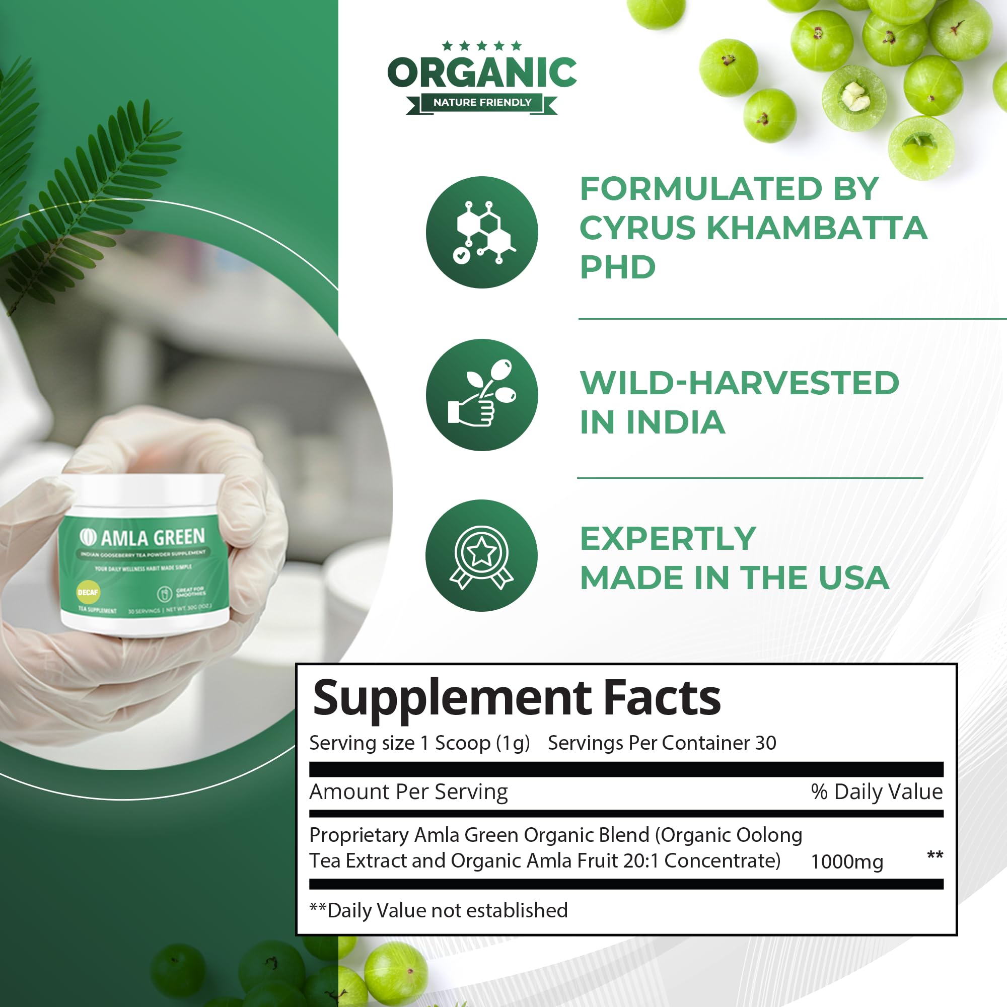 Amla Green: 20x Concentrated Amla Powder + Decaf Green Tea | Organic, Vegan, 90 Servings