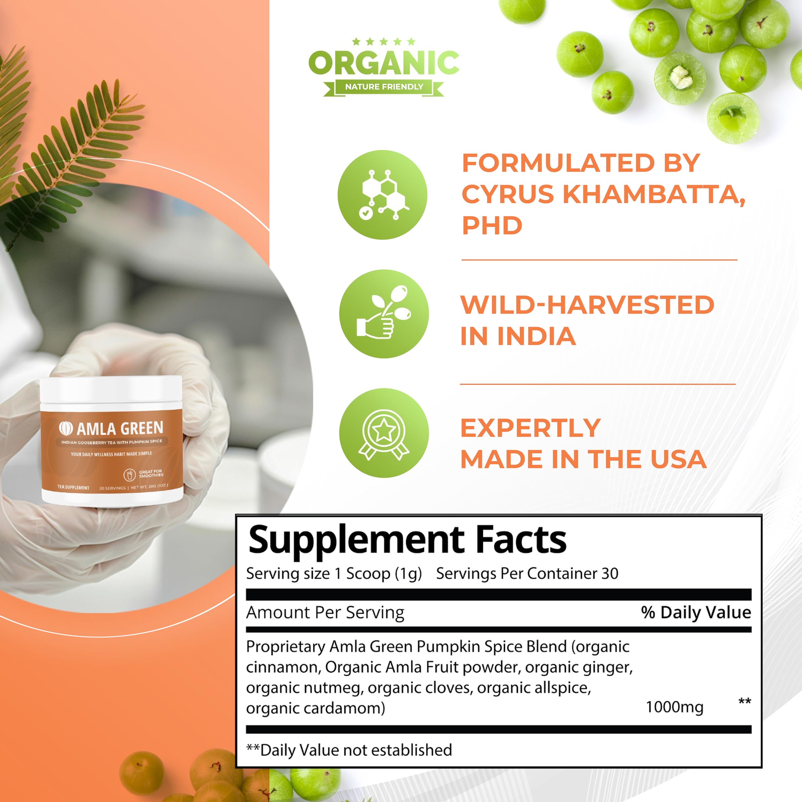 Amla Green 20x Concentrated Amla Powder with Pumpkin Spice – 90 Servings