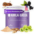 Amla Green 20x Concentrated Amla Powder with Elderberry – Immune Support Superfood, Ginger, Cinnamon & Peppermint, 90 Servings