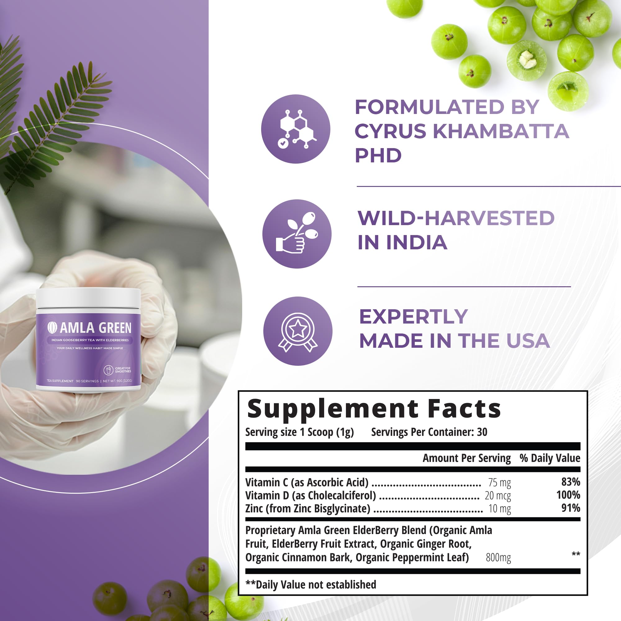 Amla Green 20x Concentrated Amla Powder with Elderberry – Immune Support Superfood, Ginger, Cinnamon & Peppermint, 90 Servings