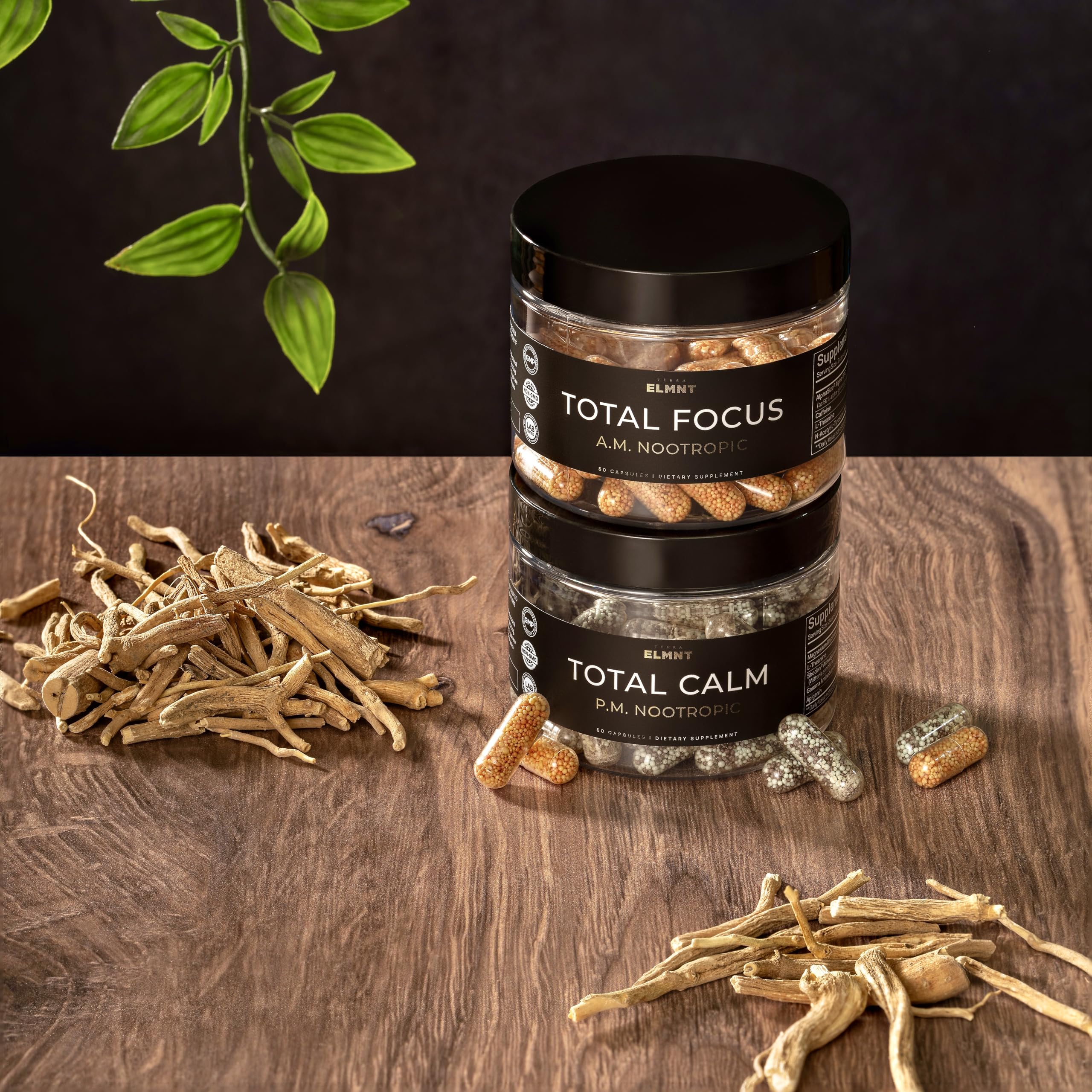 AMPM Nootropic Total Focus + Calm 9X Strength w. Caffeine, L-Theanine, Alpha GPC, L-Tyrosine, Ashwagandha - X-Release Energy Pills Nootropics Brain Support Supplements for Memory and Focus Supplement