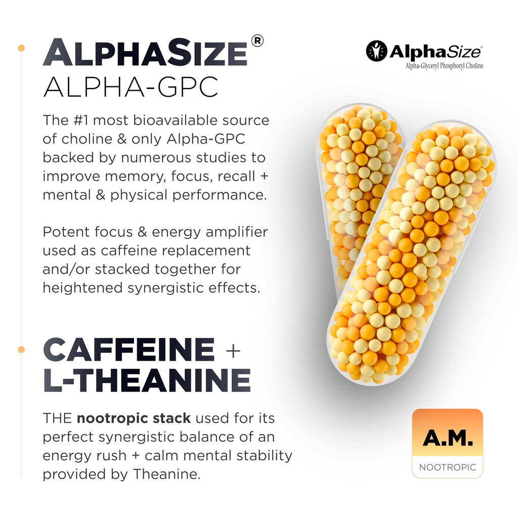 AMPM Nootropic Total Focus + Calm 9X Strength w. Caffeine, L-Theanine, Alpha GPC, L-Tyrosine, Ashwagandha - X-Release Energy Pills Nootropics Brain Support Supplements for Memory and Focus Supplement