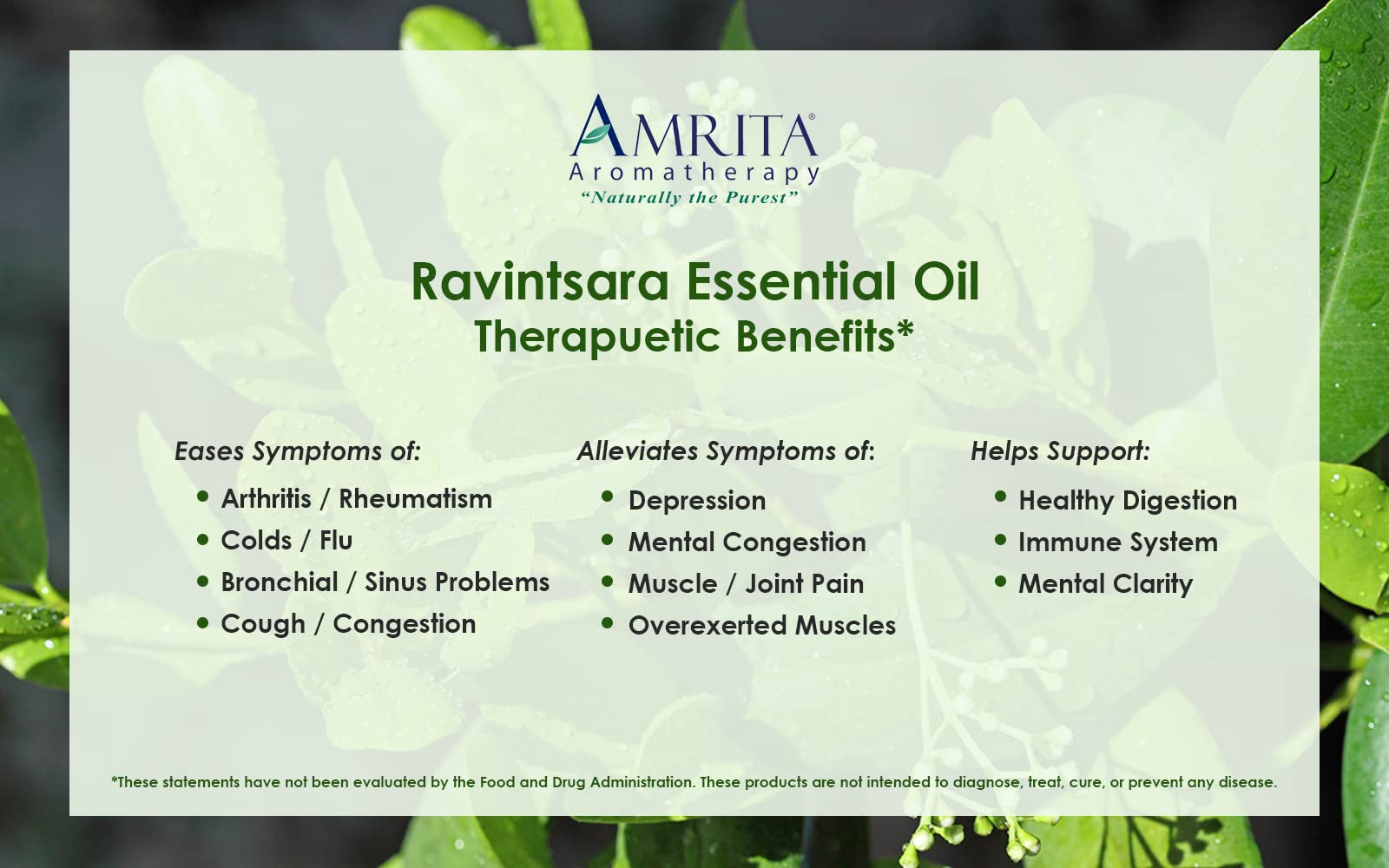 Amrita Aromatherapy Ravintsara Essential Oil – 100% Pure Cinnamomum camphora, USDA Organic, 10ml