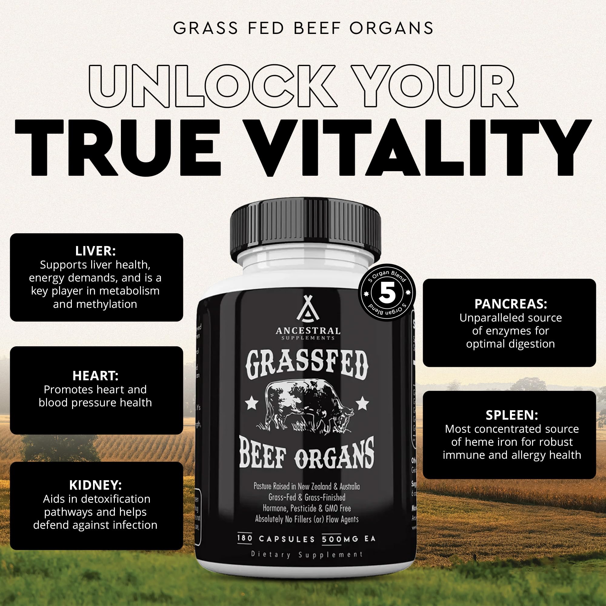 Ancestral Supplements Grass-Fed Beef Organs – Liver, Heart, Kidney, Pancreas, Spleen | 180 Capsules