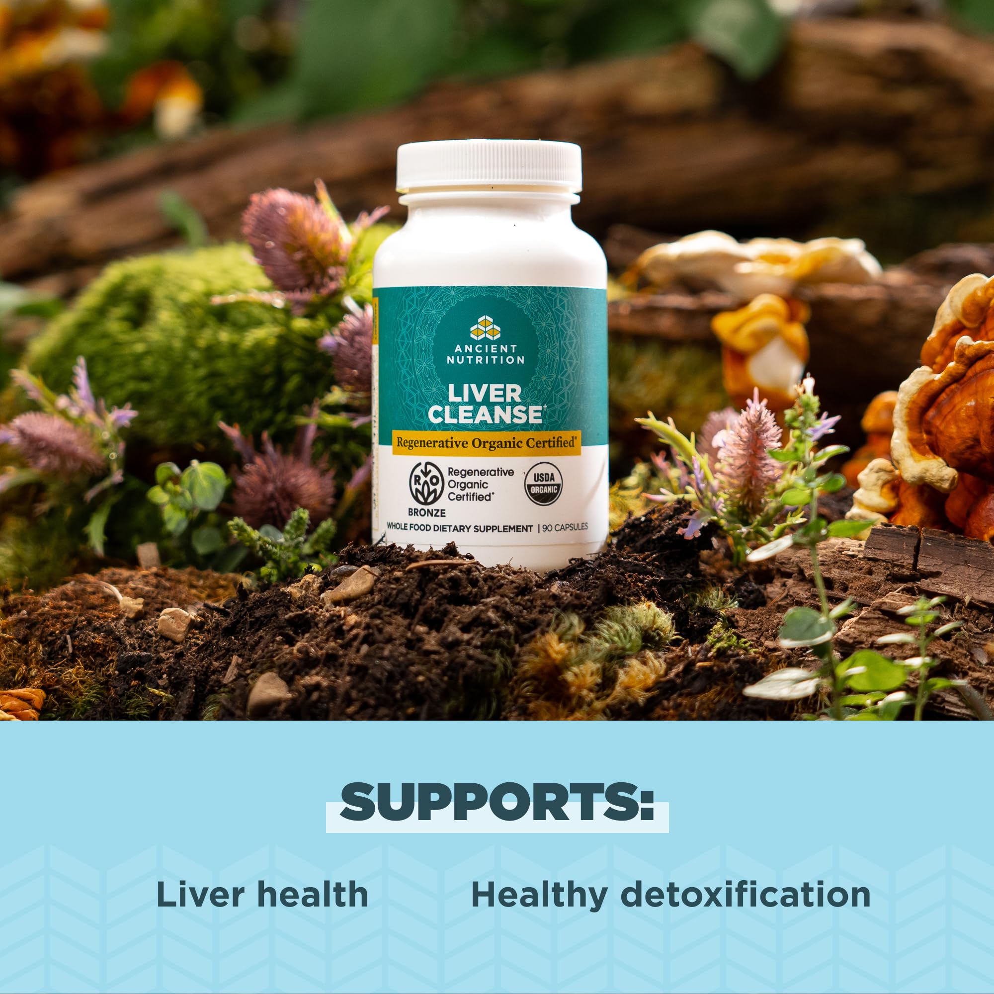 Ancient Nutrition Liver Cleanse – Milk Thistle, Burdock & Reishi | Gluten Free 90 Count