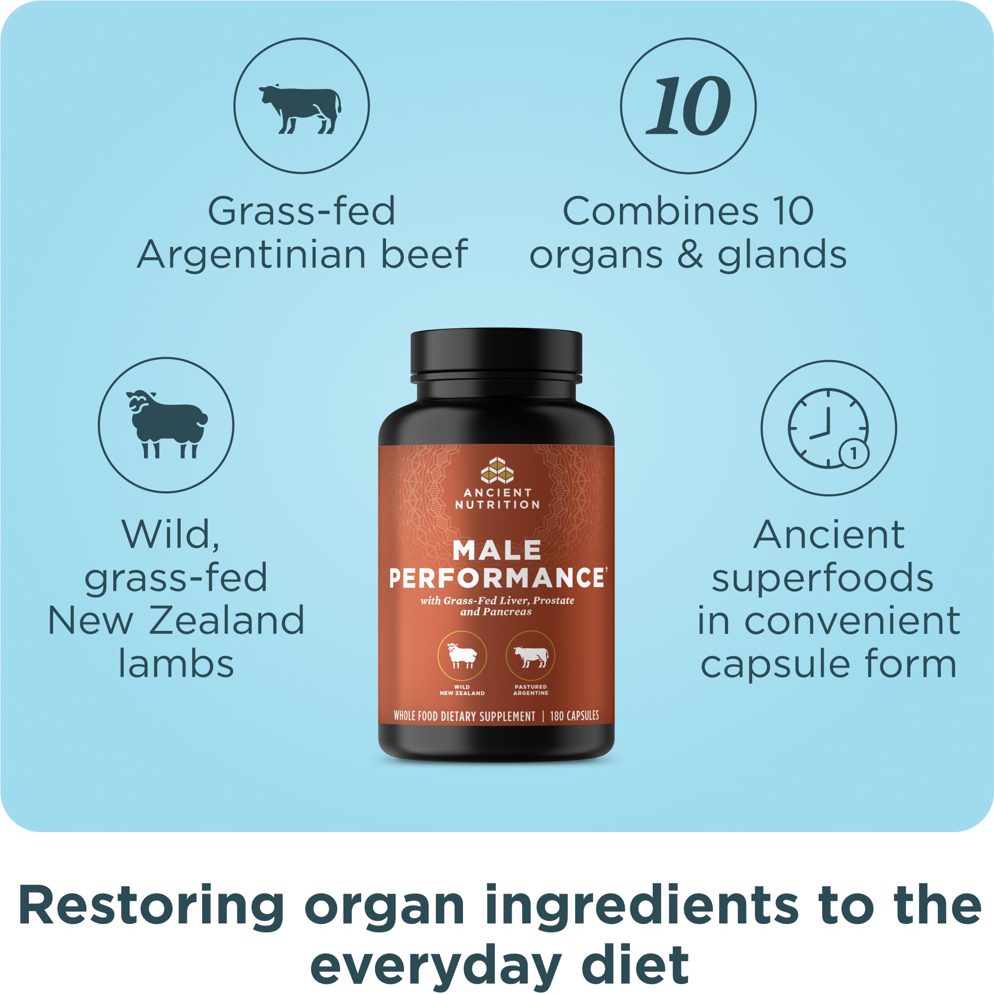 Ancient Nutrition Organ Complex for Men – Grass-Fed & Wild Organs (180 Count)