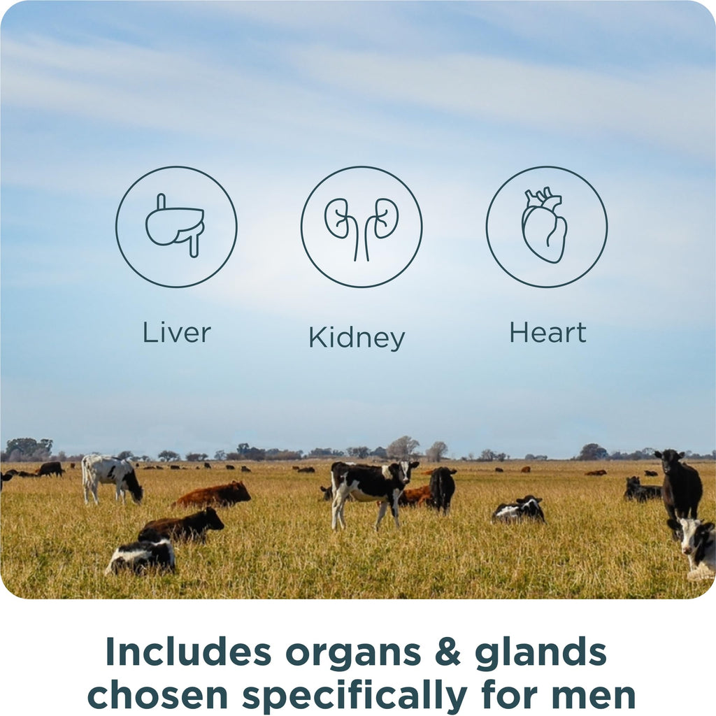 Ancient Nutrition Organ Complex for Men – Grass-Fed & Wild Organs (180 Count)