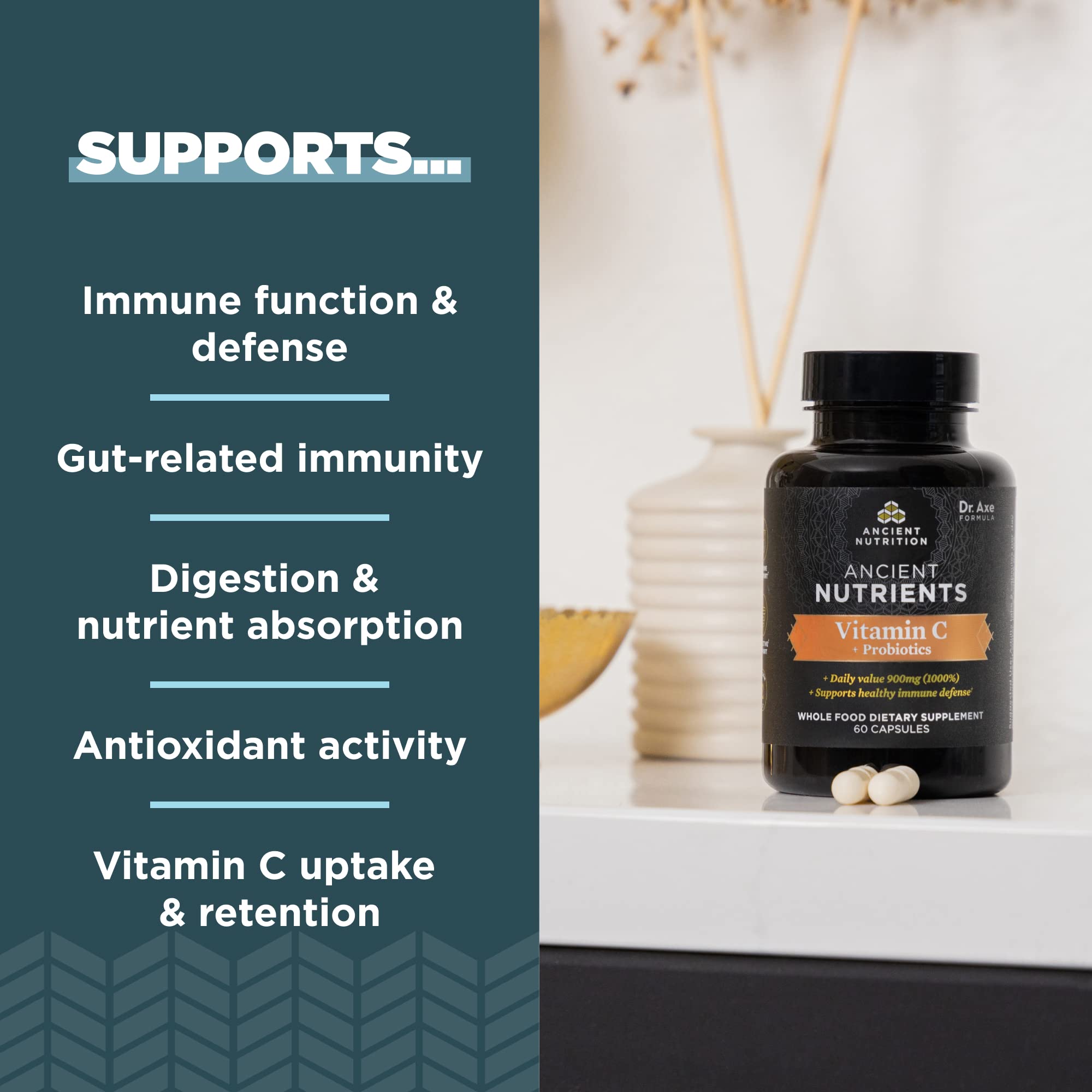 Ancient Nutrition Probiotics & Vitamin C – Immune and Gut Health