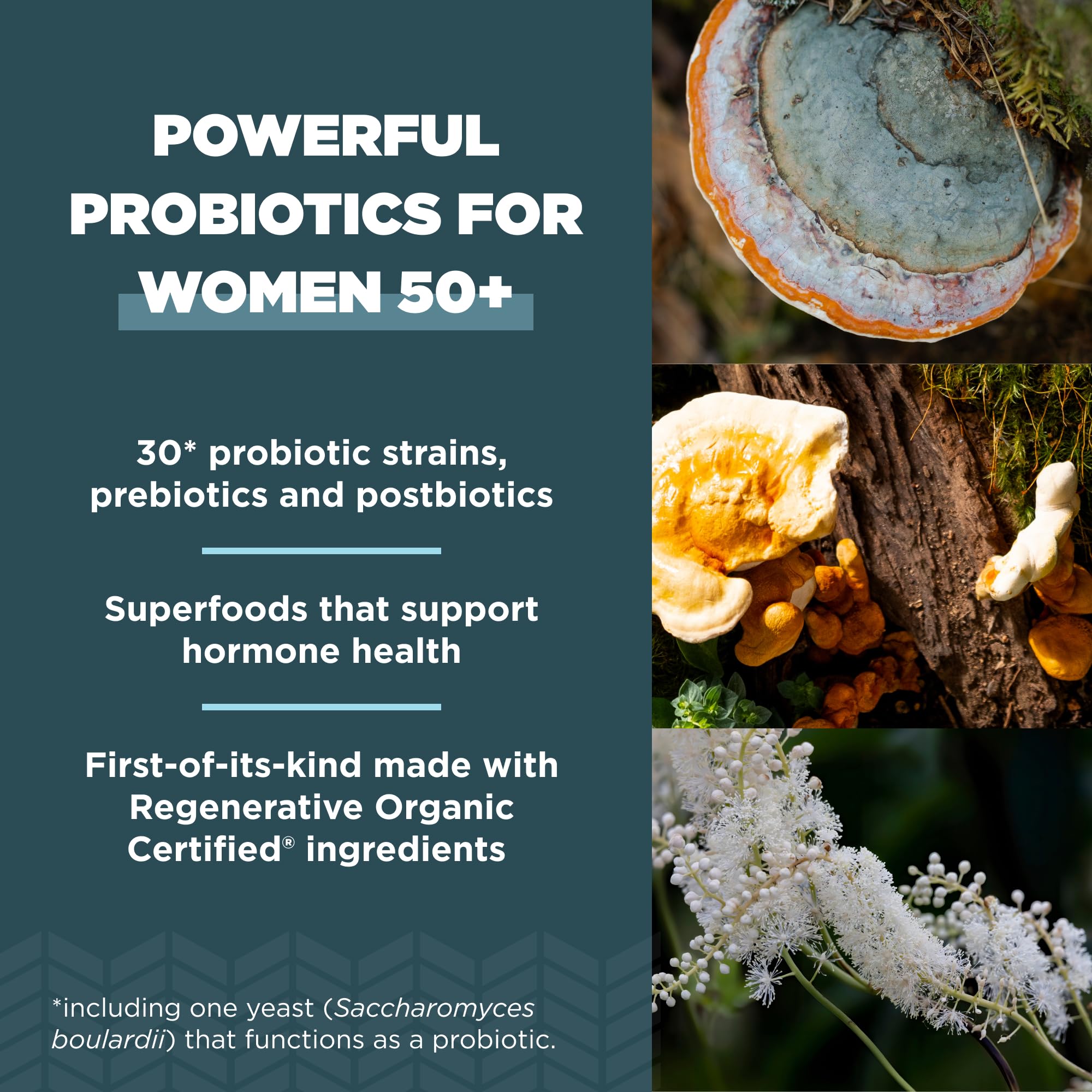 Ancient Nutrition Probiotics for Women 50+ | Regenerative Organic Certified | 25B CFUs | 30 Count | Once Daily
