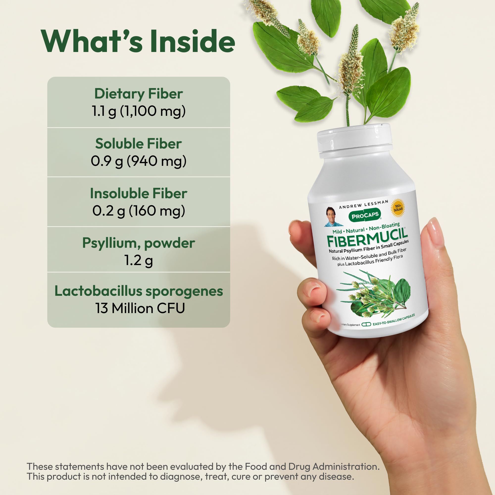 ANDREW LESSMAN Fibermucil 360 Capsules – Psyllium Husk Fiber for Digestive Comfort