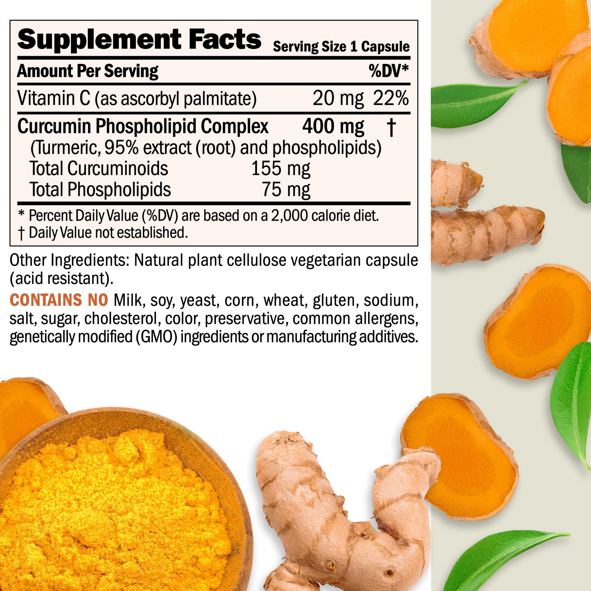 ANDREW LESSMAN Turmeric 400mg - 240 Capsules | 95% Curcuminoids Phospholipid Complex