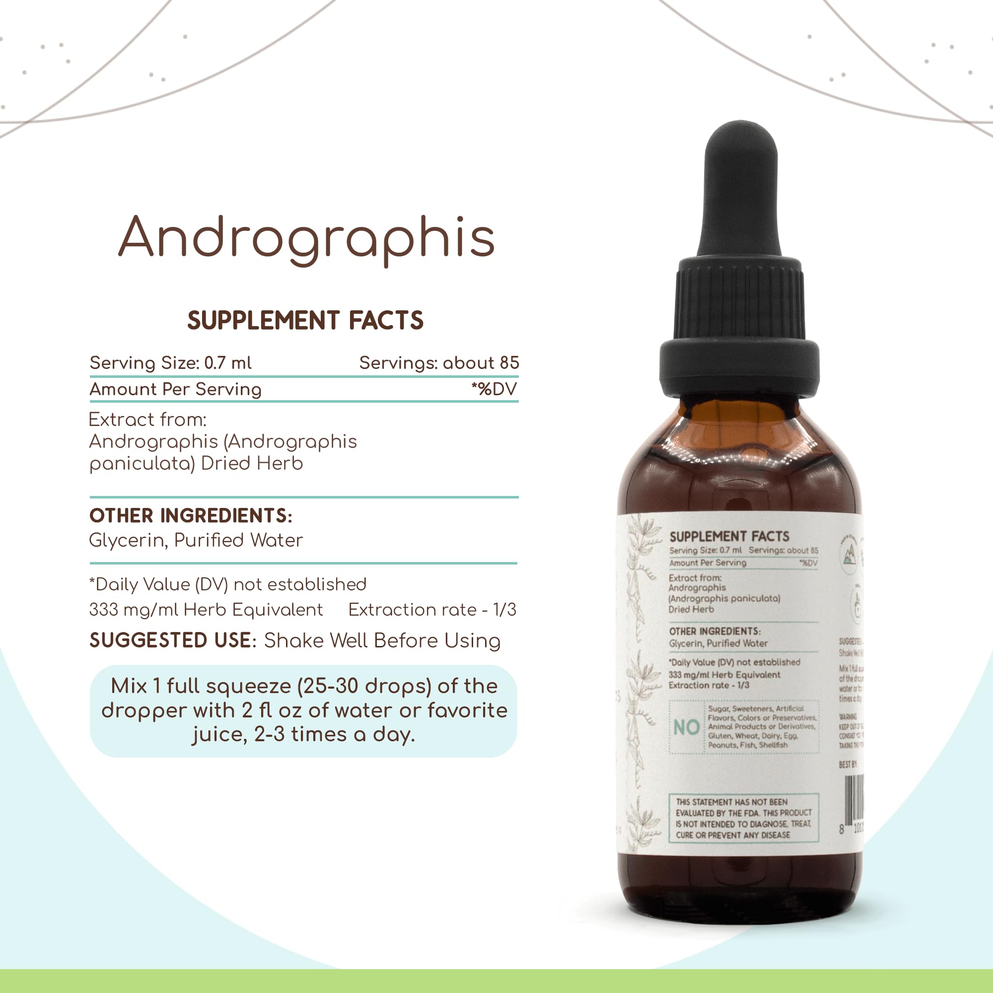 Andrographis B60 Alcohol-Free Herbal Tincture 2 fl oz | Fah Talai Jone & Chuan Xin Lian