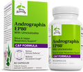 Andrographis EP80 with Umckaloabo – Sinus & Respiratory Support (60 Veg Capsules)