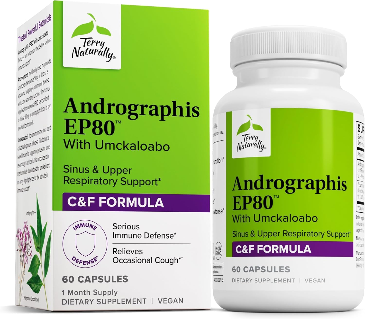 Andrographis EP80 with Umckaloabo – Sinus & Respiratory Support (60 Veg Capsules)