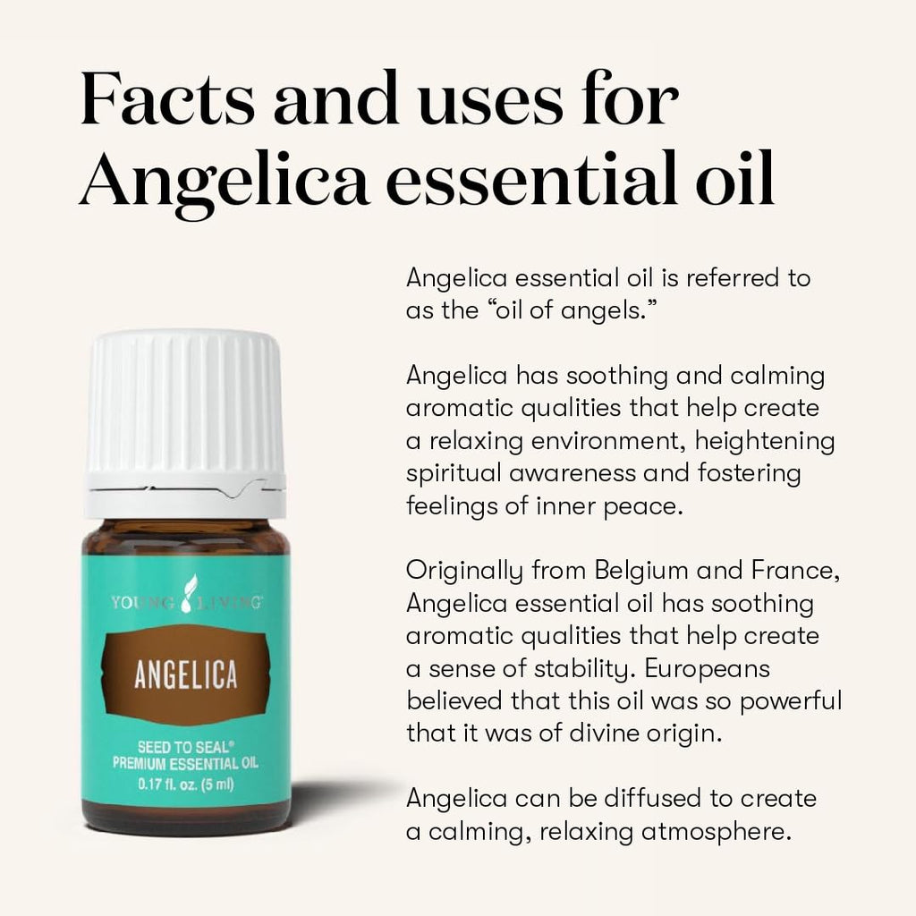 Young Living Angelica Premium Essential Oil – Calming Aromatic Diffuser Blend (5ml)