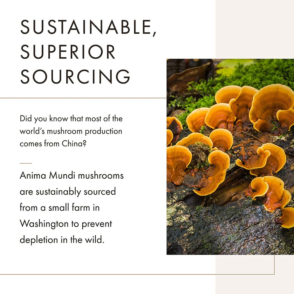 Anima Mundi Soma 7 Mushroom Adaptogenic Elixir - Reishi, Chaga, Lion's Mane & Cordyceps - 2oz