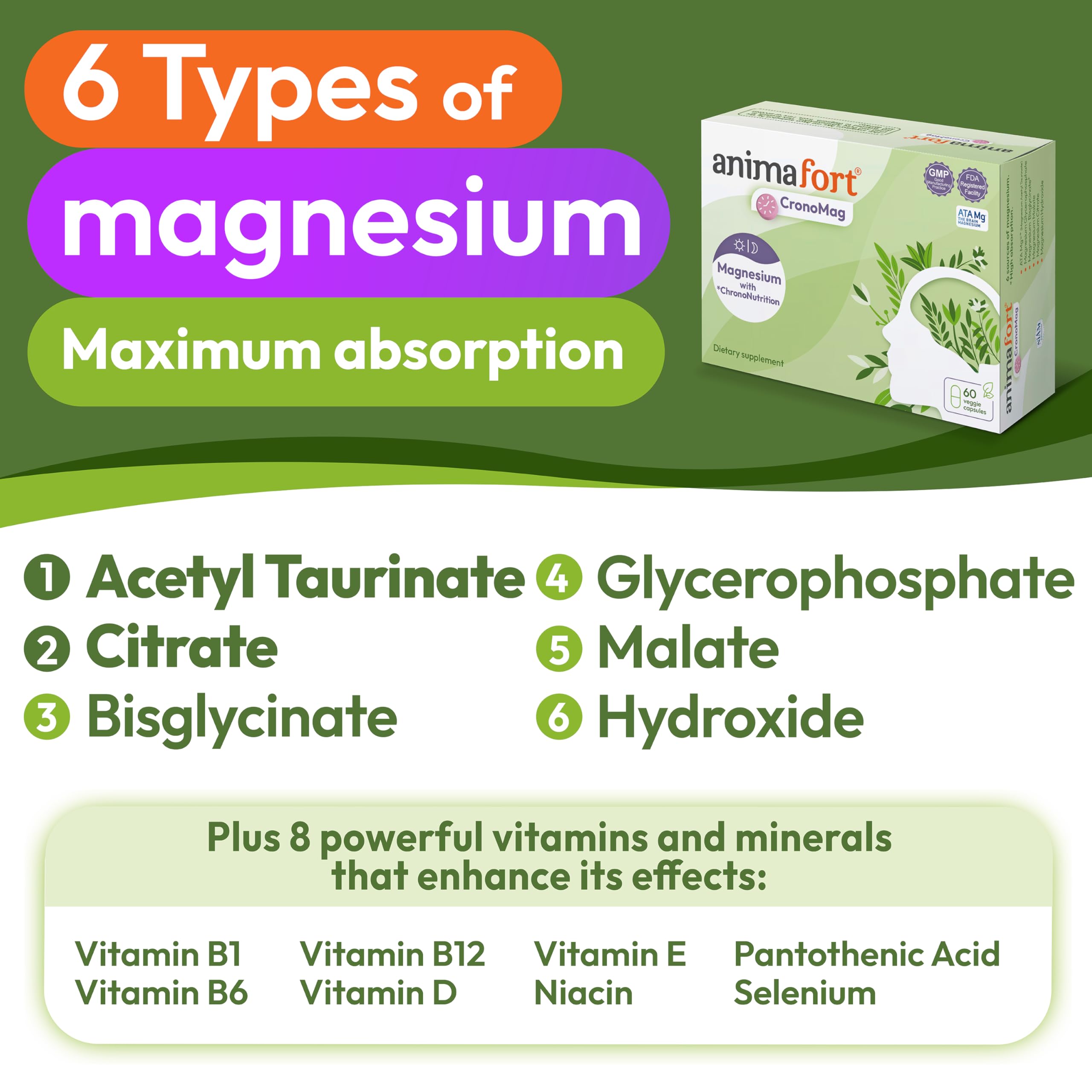 NIAM Laboratorios CronoMag Magnesium Complex | 6 High-Absorption Salts | B12 & D Vitamins | 60 Capsules | Animafort CronoMag