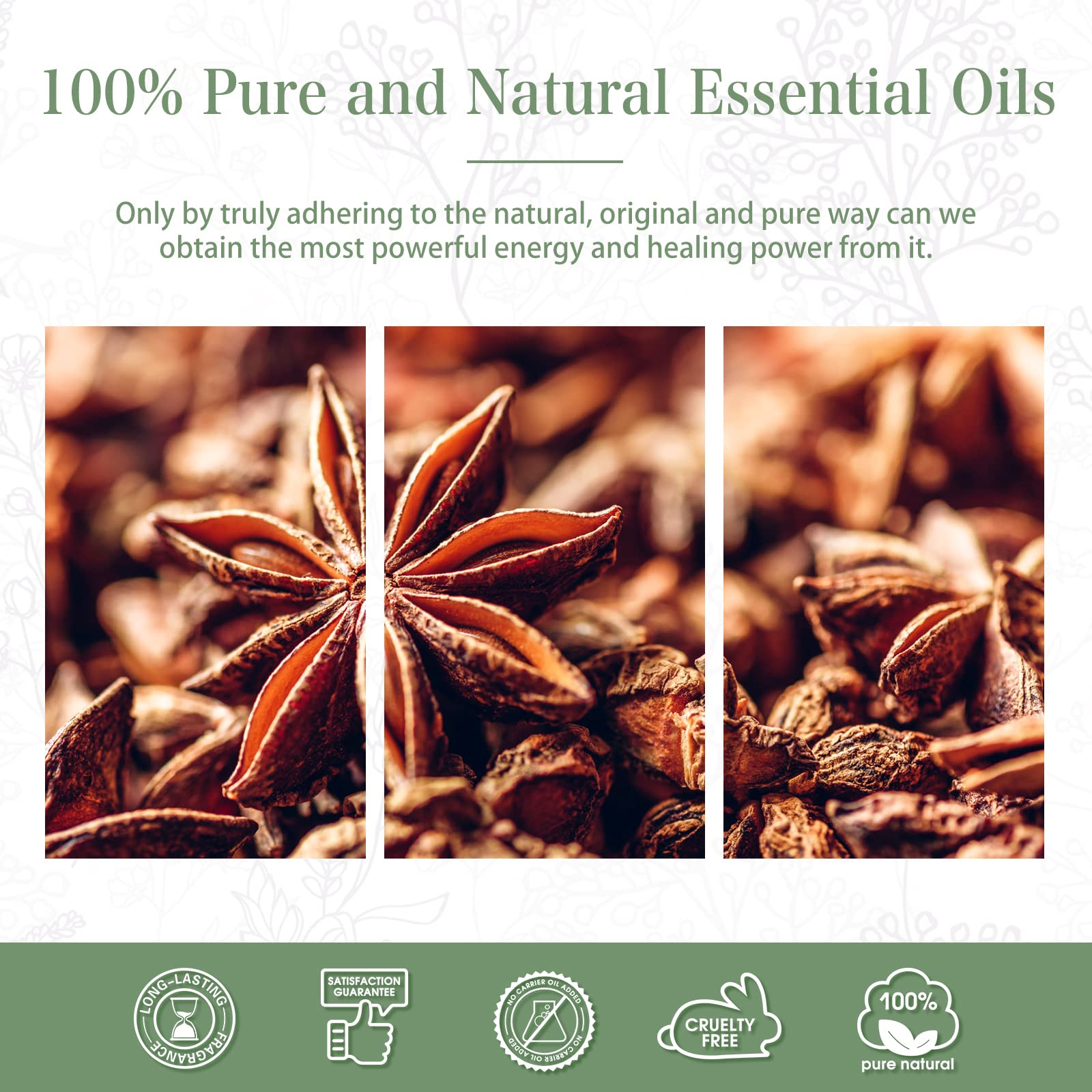 Anise Star Essential Oil 30ml (1.01 fl oz) | PHATOIL Pure Aromatherapy for Diffusers, DIY Soap & Candles