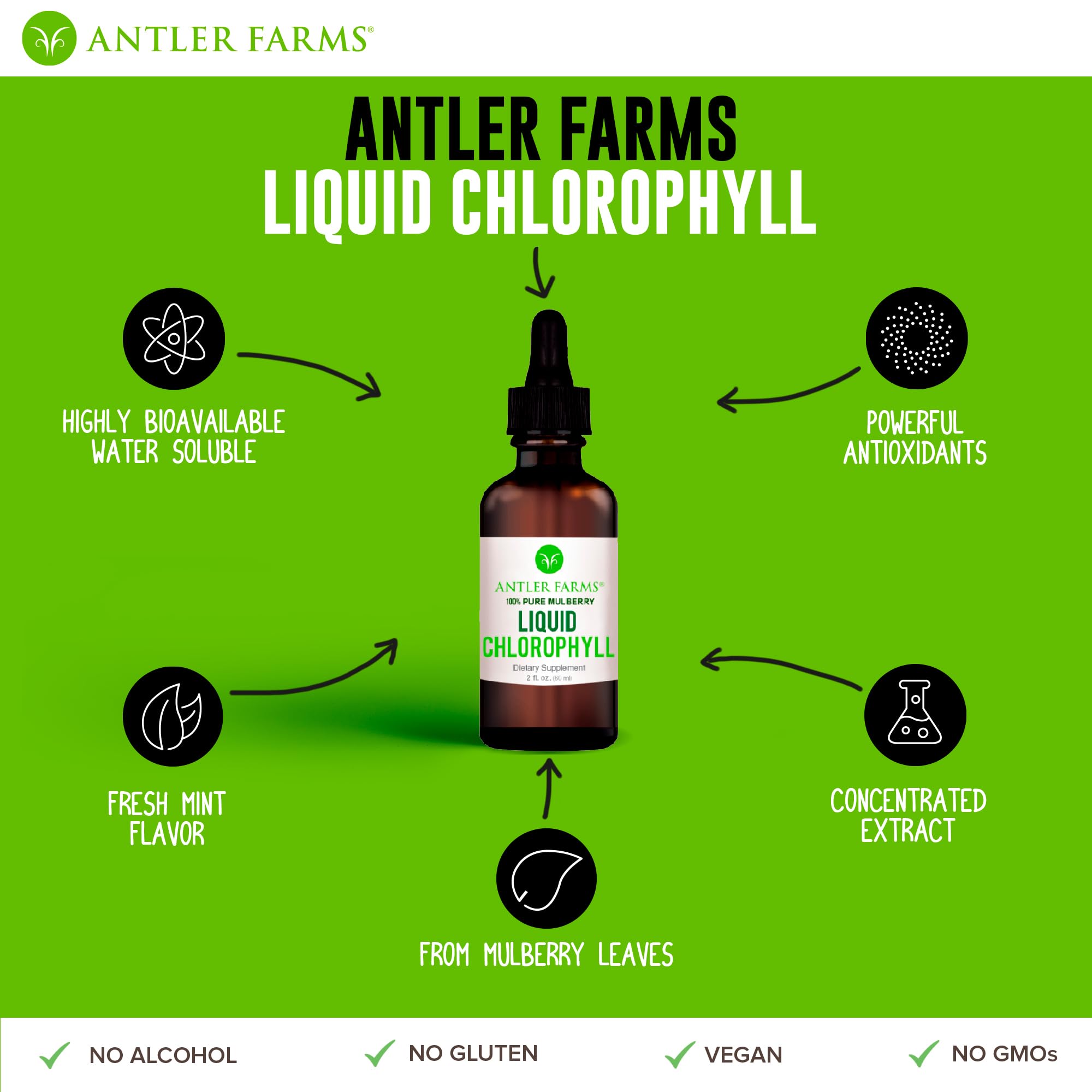 Antler Farms – 100% Natural Liquid Chlorophyll Drops, 12,000 mg, Mint Flavor, 60 Servings