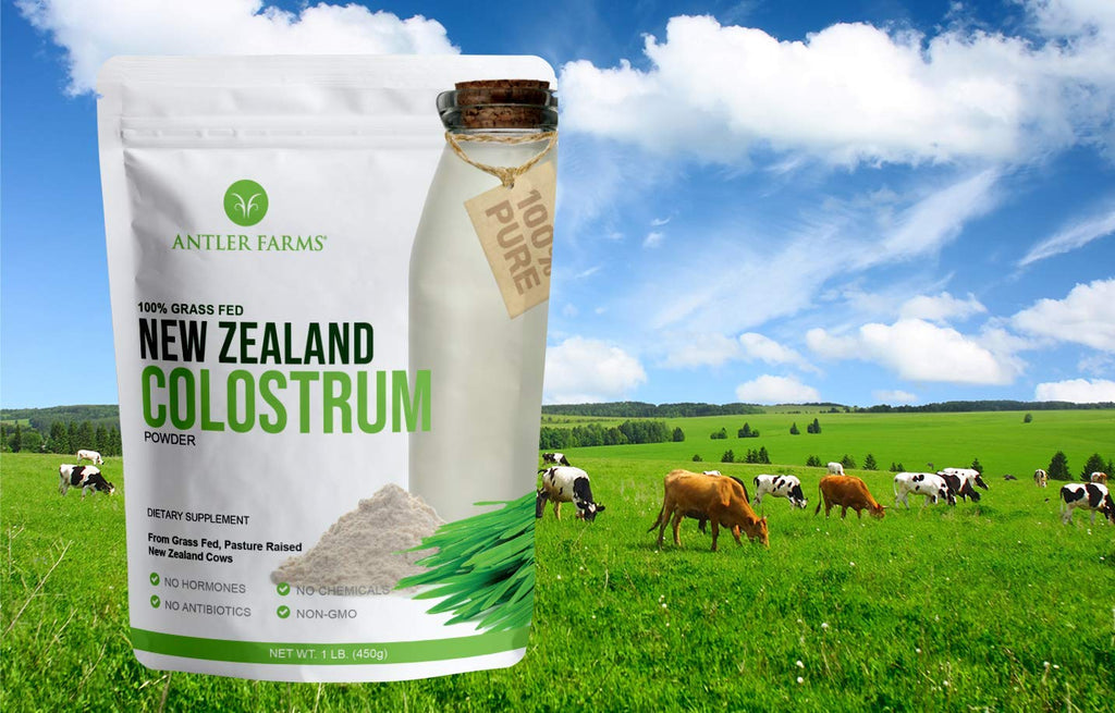 Antler Farms NZ Colostrum – 30 Servings, Grass-Fed, Cold Processed, High IgG, Undiluted