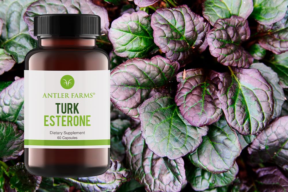 Antler Farms Turkesterone 60 Capsules 500mg Pack of 2 | Ajuga Turkestanica 10% Turkesterone