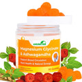 ANUMITRA Magnesium Glycinate + Ashwagandha Gummies 1000mg – Sugar-Free Raspberry, 90 Gummies