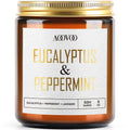 AOOVOO Eucalyptus Mint Candle - 9oz Soy Scented Candle for Home & Aromatherapy