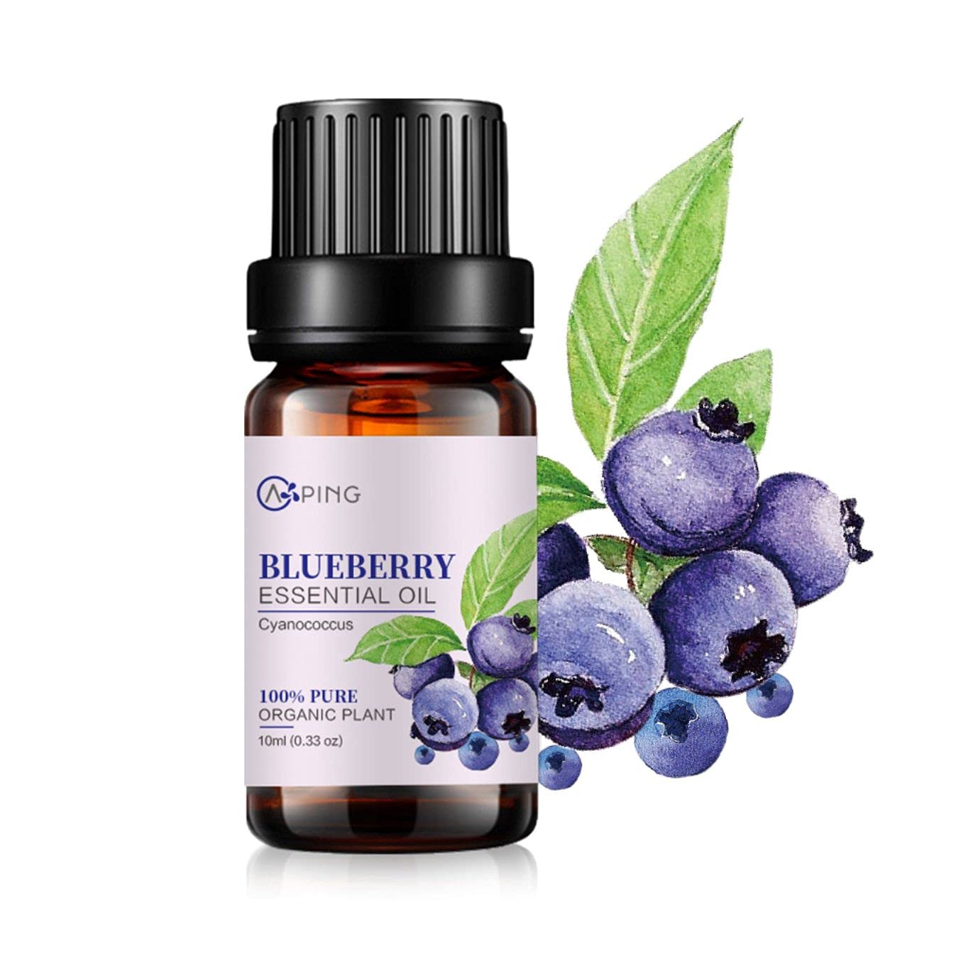 AOPING Blueberry Essential Oil - 100% Pure Organic Natural Plant (Cyanococcus) Blueberry Oil for Diffuser, Aroma, Spa, Massage, Yoga, Perfume, 0.33oz