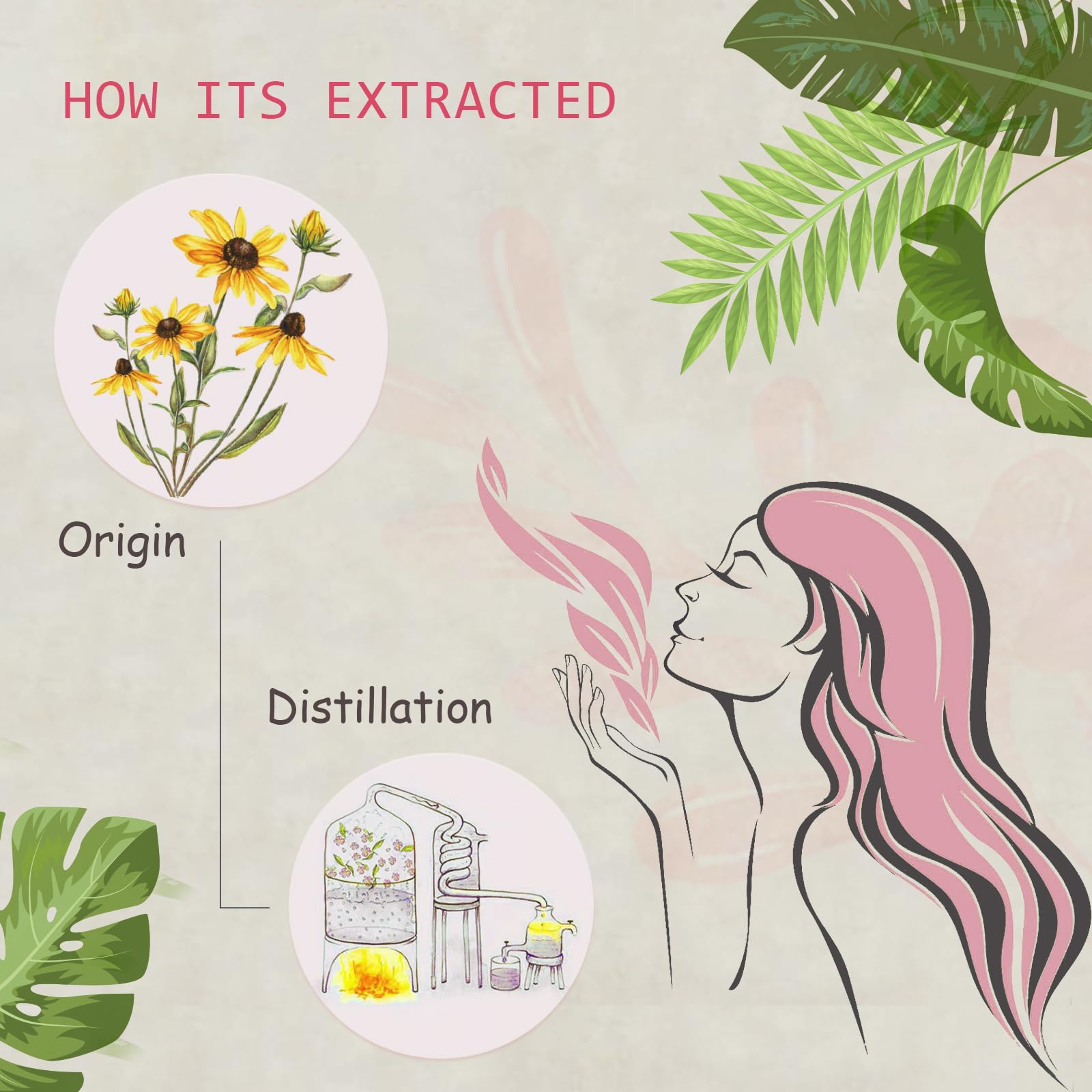 AOPING Calendula Essential Oil - 2x10ml | 100% Pure Calendula Officinalis